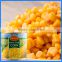 frozen sweet corn in tin use fresh yellow corn