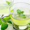 Superior Quality Spearmint Tea for Export