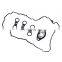 Valve Cover Gaskets Set For BMW X3 X5 Z4 128i 328i 528i 323i 3.0L