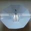 Grow light parabolic reflector hood