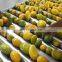 Industrial mango pulp puree jam manufacturing processing plant production line