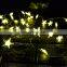 50 LED  Warm White starfish String Lights Festival holiday decorative lighting festoon lighting
