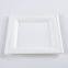 Disposable Biodegradable 10INCH square plate Take away Sugarcane