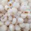 2021 Crop IQF Frozen Peeled Lychee Pitted Litchi