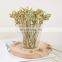Premium Quality Decoration Christmas Party Dessert Fruit Promotional Appetizer Loop Knot Cocktail Bamboo Picks