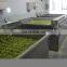 Automatic packing machine fruit juice paste jam production line