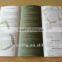 Colorful Brochure Printing Service