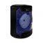 Portable 6.5 Inch Active Stereo 12W High Power Wired Microphone Support Multiple Playback Modes Speaker