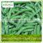 iqf/ frozen green beans