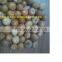 DRIED WHOLE BETEL NUT IN VIETNAM in 2016 drop