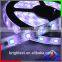 Black PCB SMD3528 8lm/led decoration car led strips,magic digital dream color rgb led strip                        
                                                                                Supplier's Choice