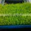 Large Model Animal Fodder Sprouting Machine