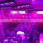 OEM ODM 1200W LED Grow Lights Full Spectrum With Veg And Flowering Modes Secondary Lenses Available