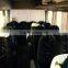 USED BUSES - TOYOTA COASTER COACH BUS (LHD 4334)