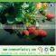 Weed control mat raw materials import fabric tnt hydrophilic pp fabric