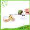 High Quality Adhesive Printed Tape with Logo