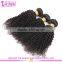 Qingdao factory supply grade 7a kinky curly european hair extensions 100% virgin european hair
