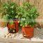 REUSABLE POTATO PLANTER GROW BAG Balcony Deck Porch Patio Plant Flower Vegetable