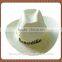 Adult group unisex gender polyester formal hat