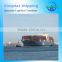 Logistics Shipping From China to Sydney/Australia (Shipping)