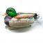 Hot selling plastic decoys for duck hunter