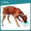 Cheap wholesale personalized keep water food cool gel plastic supreme dog bowl