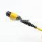 MTP Trunk cable