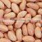 Peanut Kernel JAVA 80-90 COUNT