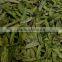 GMP factory supply 100% Pure Stevia Extract Stevia Steviosides/Rebaudioside A