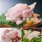 100% hair removal rate poultry chicken duck pheasant broiler feather processing machine