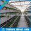 Complete Greenhouse Hydroponics System with Coco Peat and Drip Irrigation
