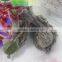 Nomo new product design tropical decorative resin lizard for garden decor