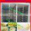 soyabean sprouts processing machine