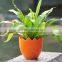 Garden supplies attractive colorful plastic wholesale flower pots