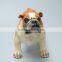 Realistic 3D bull dog resin statue