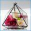 Wholesale In door plants geometric glass terrarium box