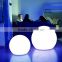 Retational Moulding PE plastic waterproof luminous led ball