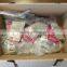 Japanese Auto Parts Motor Part Car Part Made in Japan for Wholesaler for Car Workshops