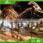KAWAH Museum Artificial Educational Dinosaur Skeletons For Kids