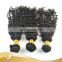 Natural color 1#,1b#,2#,4# Deep Wave Brazilian Curly Hair Wholesale Hot Beauty