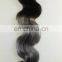 fx ombre hair extensions T1b Grey, two color ombre human hair weave bundles