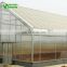 2019 New Automated Solar Energy Greenhouse For Sale
