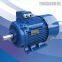 Y2 series Three Phase Cast Iron Housing Electric Motor