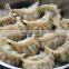 dumpling samosa spring roll machine dumpling maker