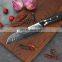 Popular Design VG10 Best Japanese Chef Knives