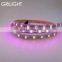 DC5V addressable digital ws2812B sk6812 led strip light