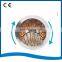 Chicken Hair Plucking Machine / Bird Depilator / Poultry Hair Removal Machine