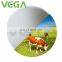 VEGA D-calcium Pantothenate Vitamin B5 D-calpan Calcium Pantothenate China White Powder Competetive Price Animal Pharmaceuticals