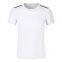 High Quality Golf  Plain Quick-Drying Outdoor Leisure Men round neck T Shirt With Customized Logo