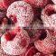 Yangmei Fresh IQF Bayberry Frozen Waxberry for juice topping jam puree